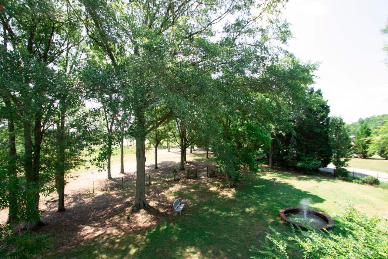 Belton Bed And Breakfast Esterno foto